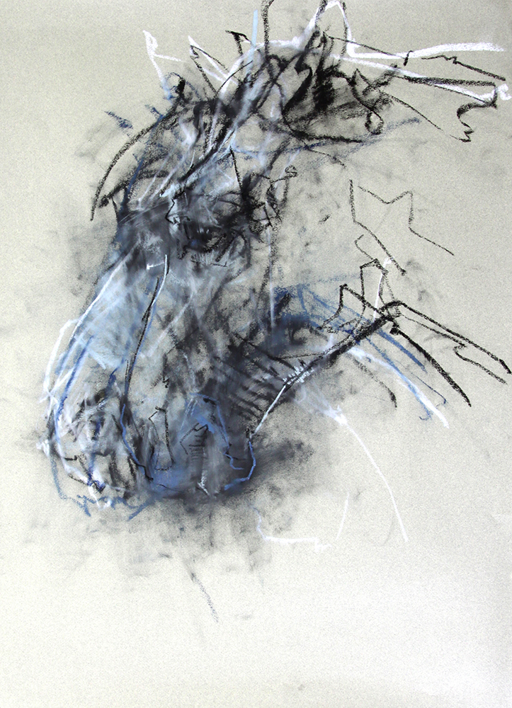 Horse chalk on paper , 29 x 21 inches